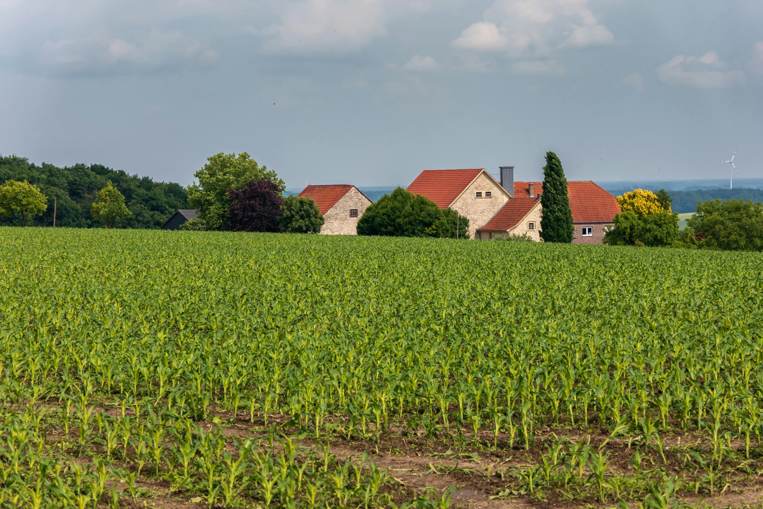 Las expresiones relacionadas con el clima en darija marroquí (1)